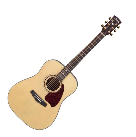 Ibanez PF5 EQ Acoustic natural performer guitar
